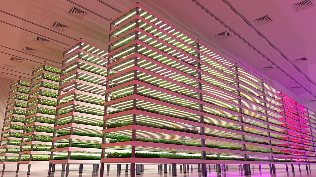 Controlled Environment Agriculture (CEA) and Thermoplastic Solutions