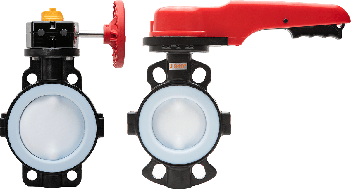 Type-55 IS Butterfly Valve (2″- 16″)